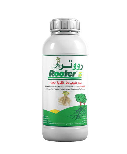 رووتر 5