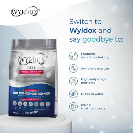 Wyldox Taps 1 KG ( 100 Taps )