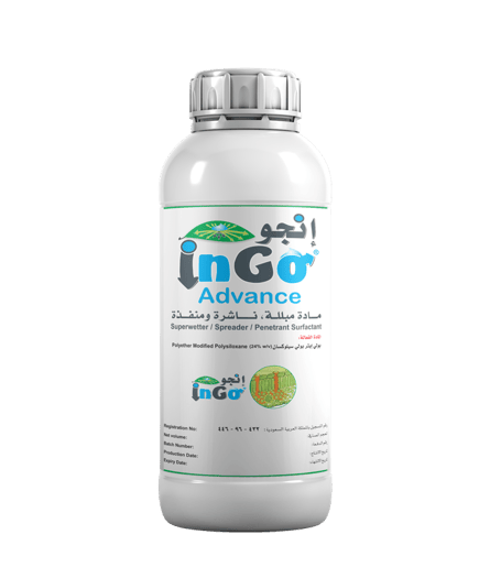 إنجو أدفانس