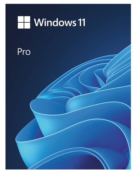 ويندوز 11 برو