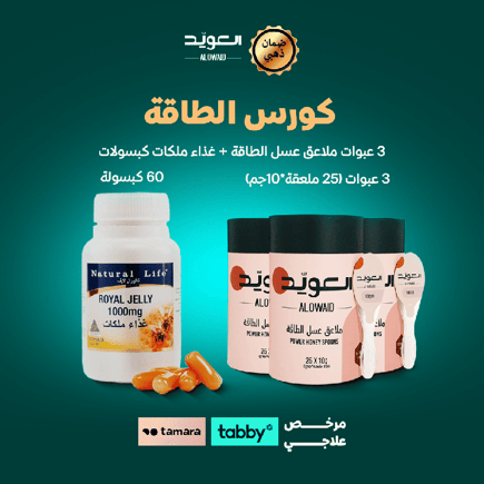 كورس الطاقة 