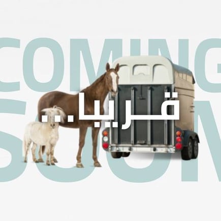 نقل خيل داخل المدينة