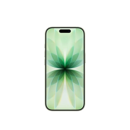 ابل - ايفون iPhone 17 بسعة 256GB - اخضر