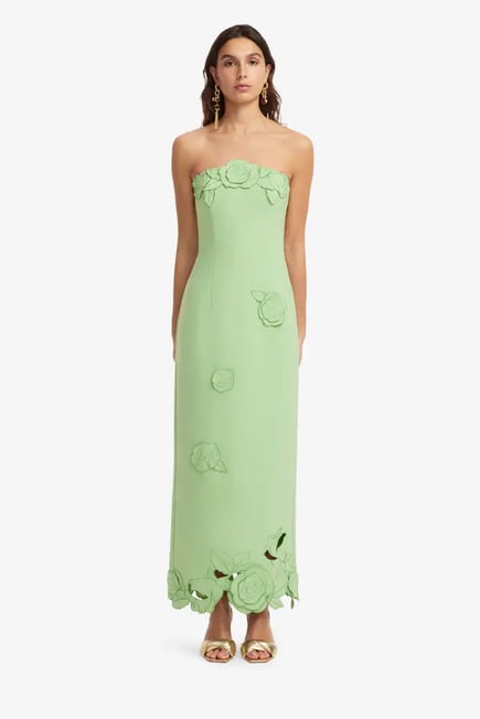 Appliqué Bustier Maxi Dress