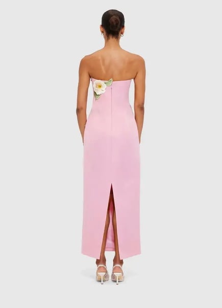 Rayna Appliqué Floral Bustier Maxi Dress - Camelia Print