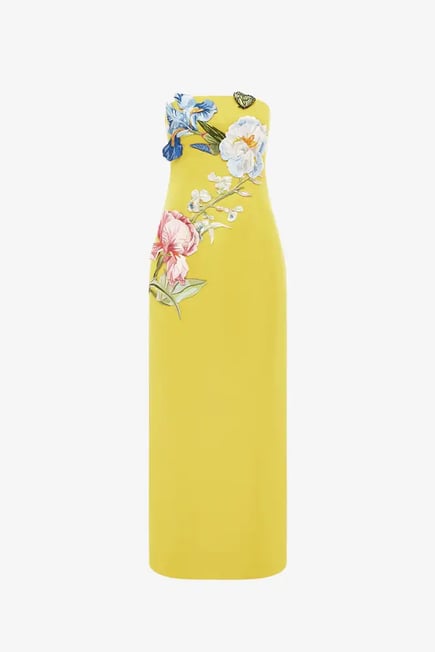 Appliqué Floral Bustier Maxi Dress