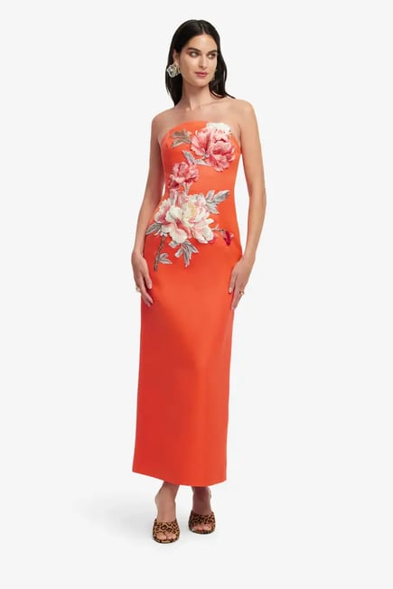 Appliqué Floral Bustier Maxi Dress