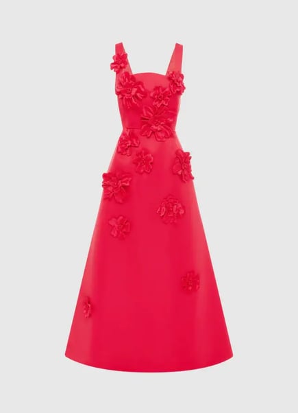 Rianne Floral Appliqué Maxi Dress - Rosa
