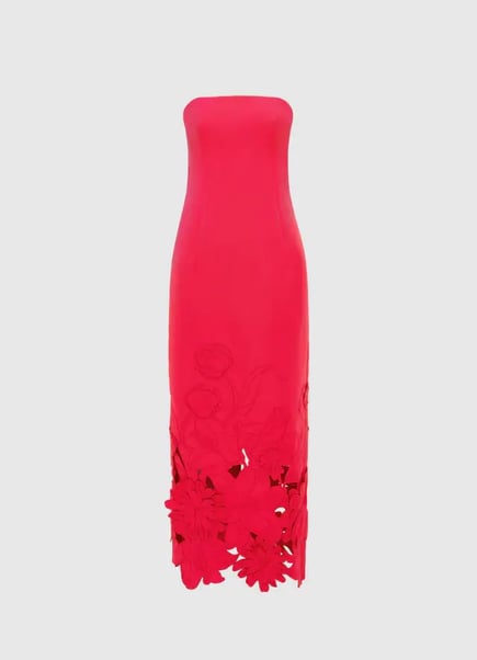 Appliqué Bustier Maxi Dress - Rosa