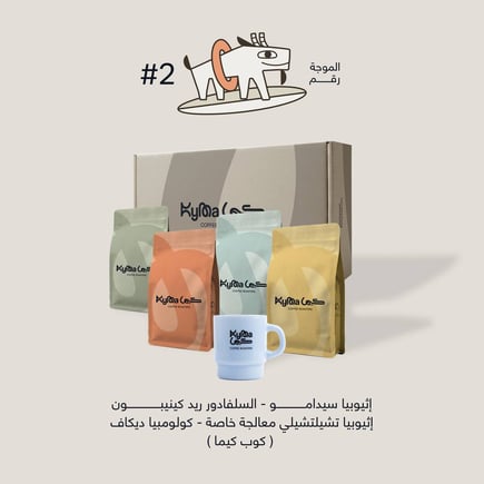الموجة الثانية
