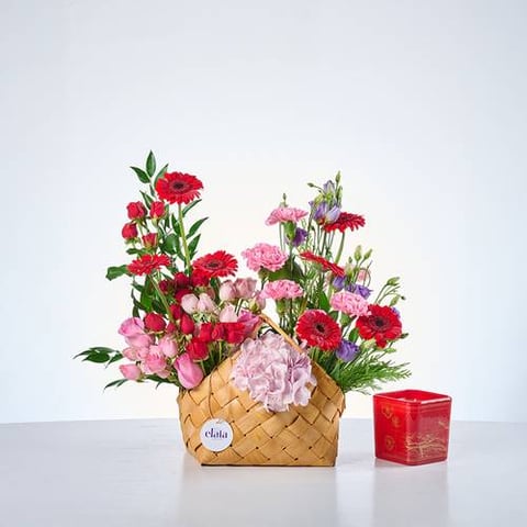باكج شعلة فرح 