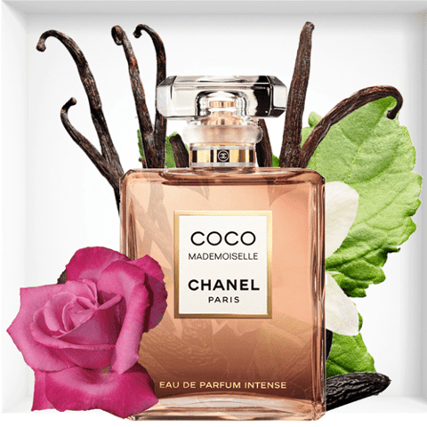 شانيل عطر كوكو مودموزيل للنساء - او دو بارفيوم انتنس 