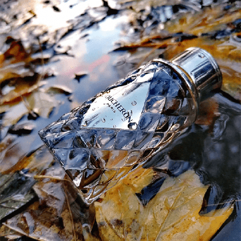 عطر بليس فيندوم من بوشرون للنساء - او دي بارفيوم 100مل