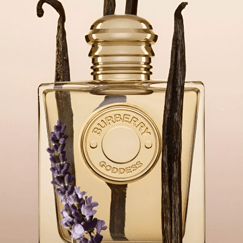 بربري عطر جوديس للنساء - او دو برفيوم 50مل