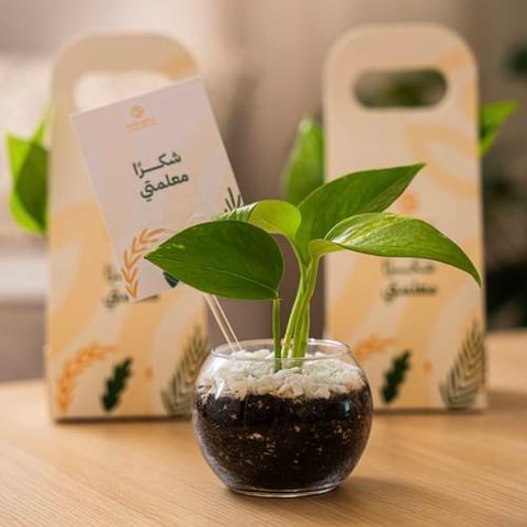 توزيعات شكراً معلمتي