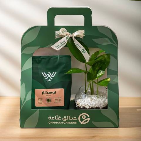 نبتة البوتس مع بُن قهوة