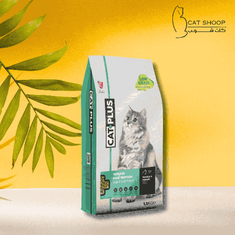 كات بلس طعام جاف للقطط بنكهة الدجاج والانشوقي 1.5 كيلو