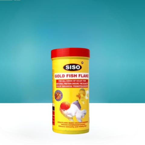 اكل سمك جولد فش Siso gold fish flake