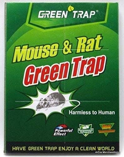 GREEN TRAP RAT GLUE 