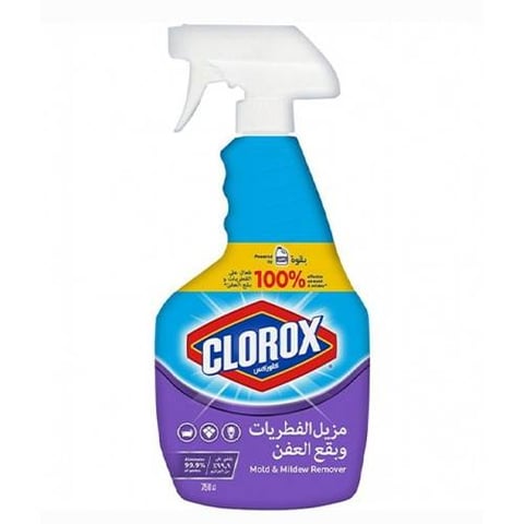 CLOROX MOLD MILDEW REMOVER SPRAY 750ML