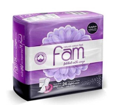 FAM FEMININE PADS NIGHT WITH WINGS 8*24P - CARTOON