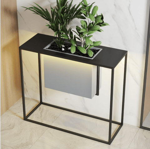 Console with planter