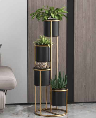 plant holder