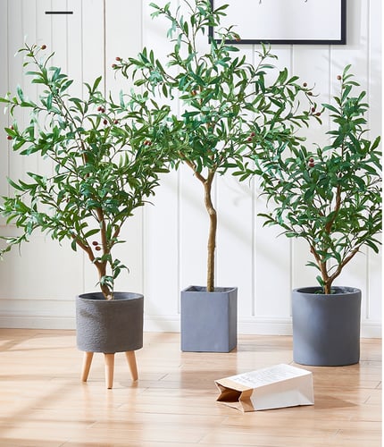 tree with pot 