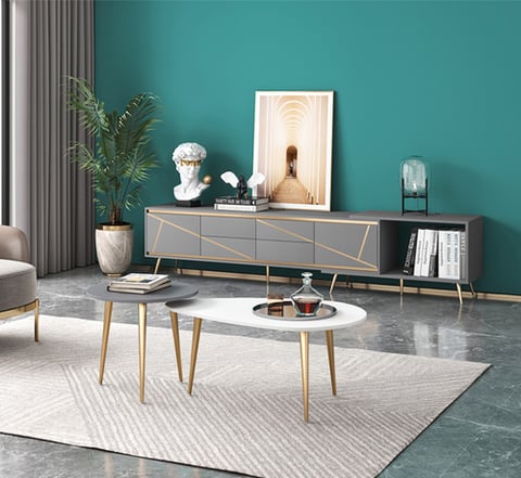 coffee table and TV table 