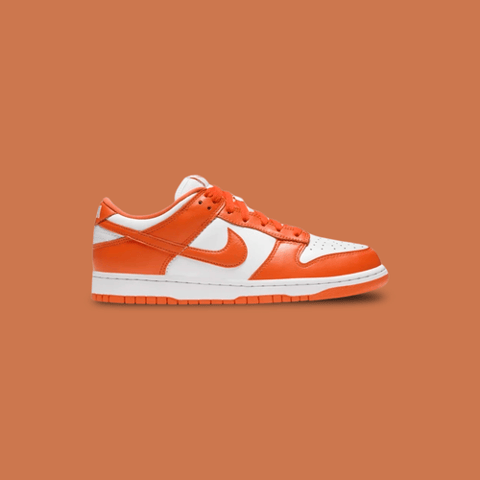 Nike Sb Orange PR