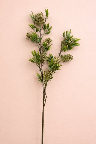 اغصان خضراء للتنسيق 