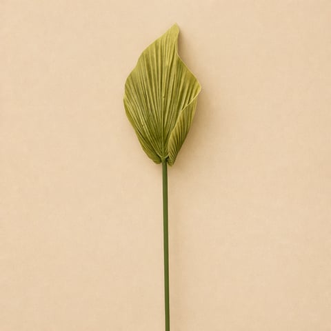 غصن ورق اخضر طول 67سم