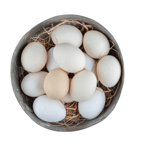 30  local eggs  farmsppc