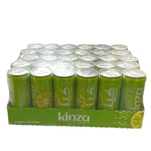 kinza citrus 250ml *30pcs