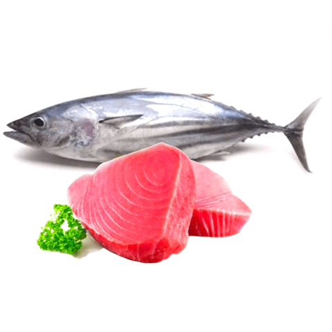 Tona fish fresh 1kgm / Quryiat fish