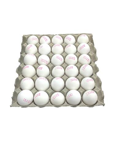 Indian white egg 30pc