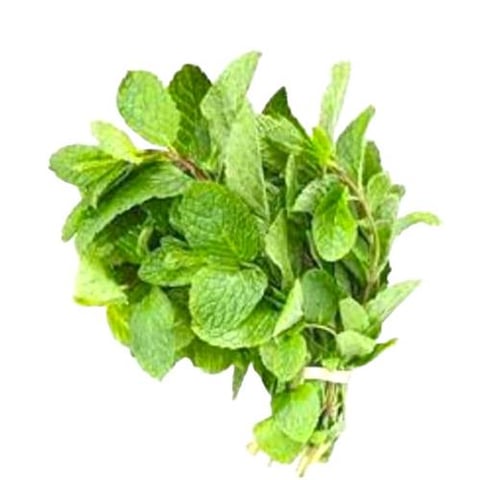 Mint leaf 1bundel