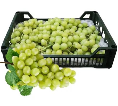 Green grapes