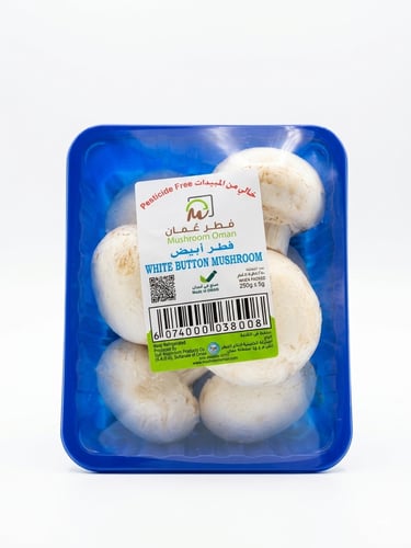 White button mushroom