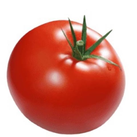 tomatoes 1pcs