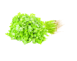 Coriander leaf 1 bundle