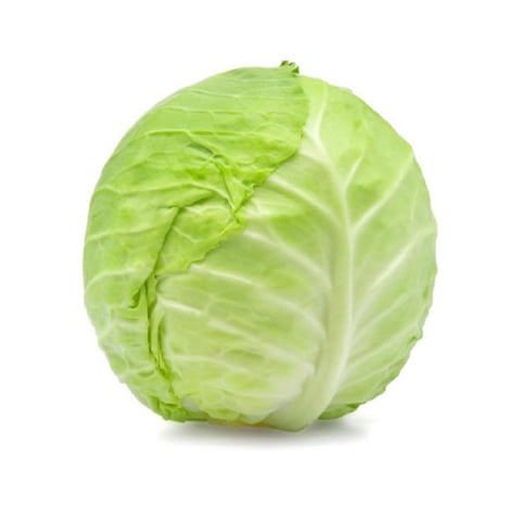 Cabbage white 1pc 1.2-1.3 kg