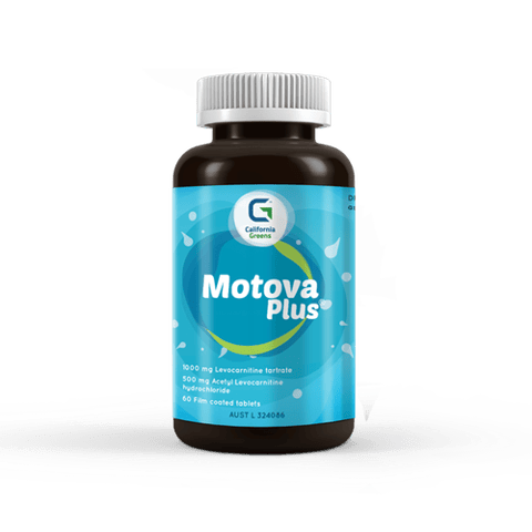  موتوفا بلص 30 قرص-MOTOVA PLUS 30 tablets