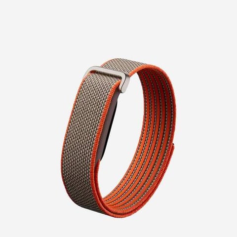 Google Fitbit Air Special Edition Stephen Curry (Rye) (Pre-Order Within 14-20 Days)