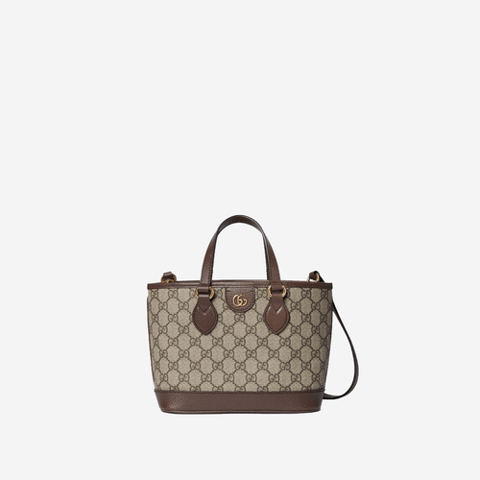 Gucci Ophidia pouch mini