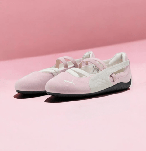  Puma speedcaat