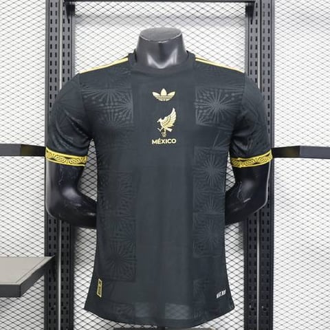 المكسيك الاساسي 2026