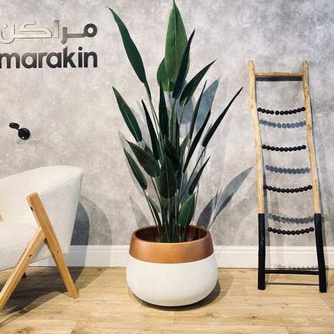 مركن اسطواني اسمنتي ابيض  اطار نحاسي