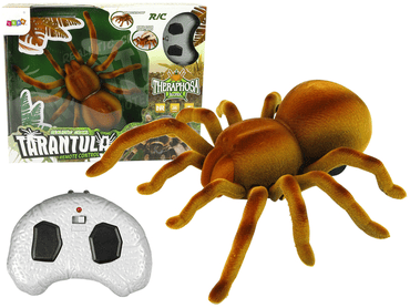 Large Remote Control Spider Toy – Unique RC Spider for Kids