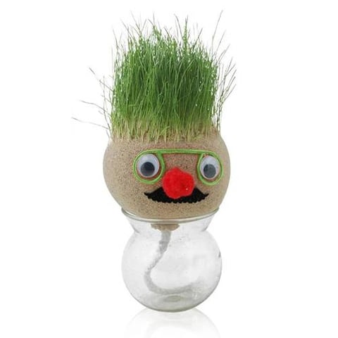 Kids' Hair Plant Toy - Unique Plant Doll for Children